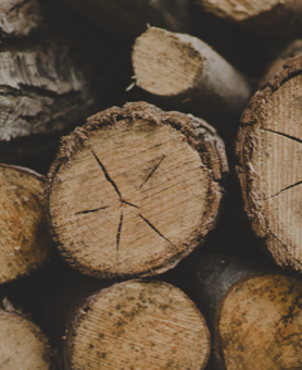 Firewood